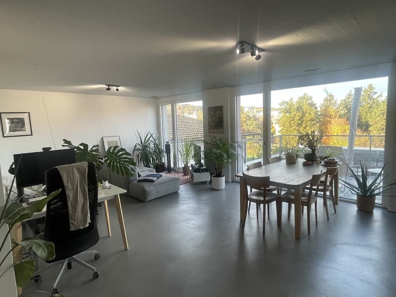 Moderne 1.5-Zi. Wohnung mit Möbel abzugeben (5)