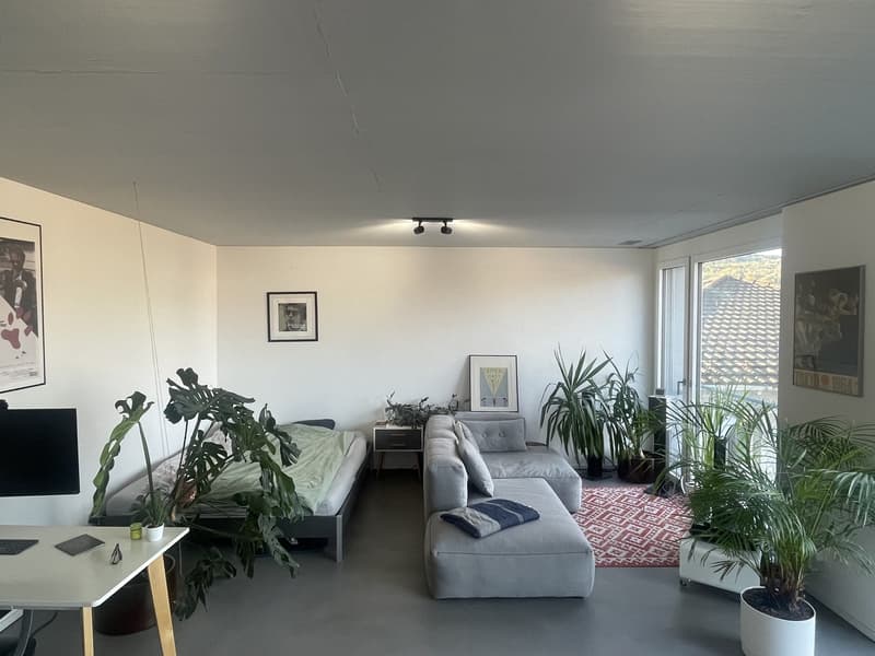 Moderne 1.5-Zi. Wohnung mit Möbel abzugeben (1)