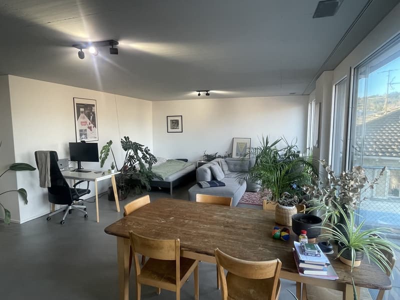Moderne 1.5-Zi. Wohnung mit Möbel abzugeben (6)