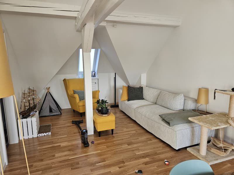 Moderne Wonung it Lift im Kreis 3 (2)