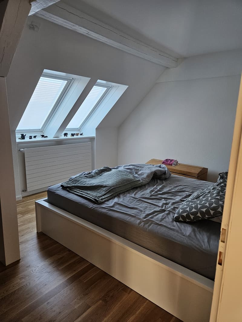 Moderne Wonung it Lift im Kreis 3 (9)