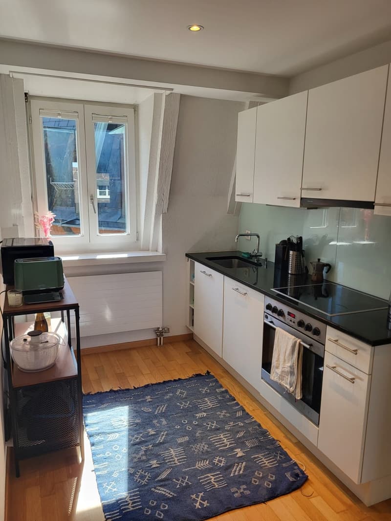 Helle 2 Zimmer Wohnung: Oerlikon Markplatz (5)