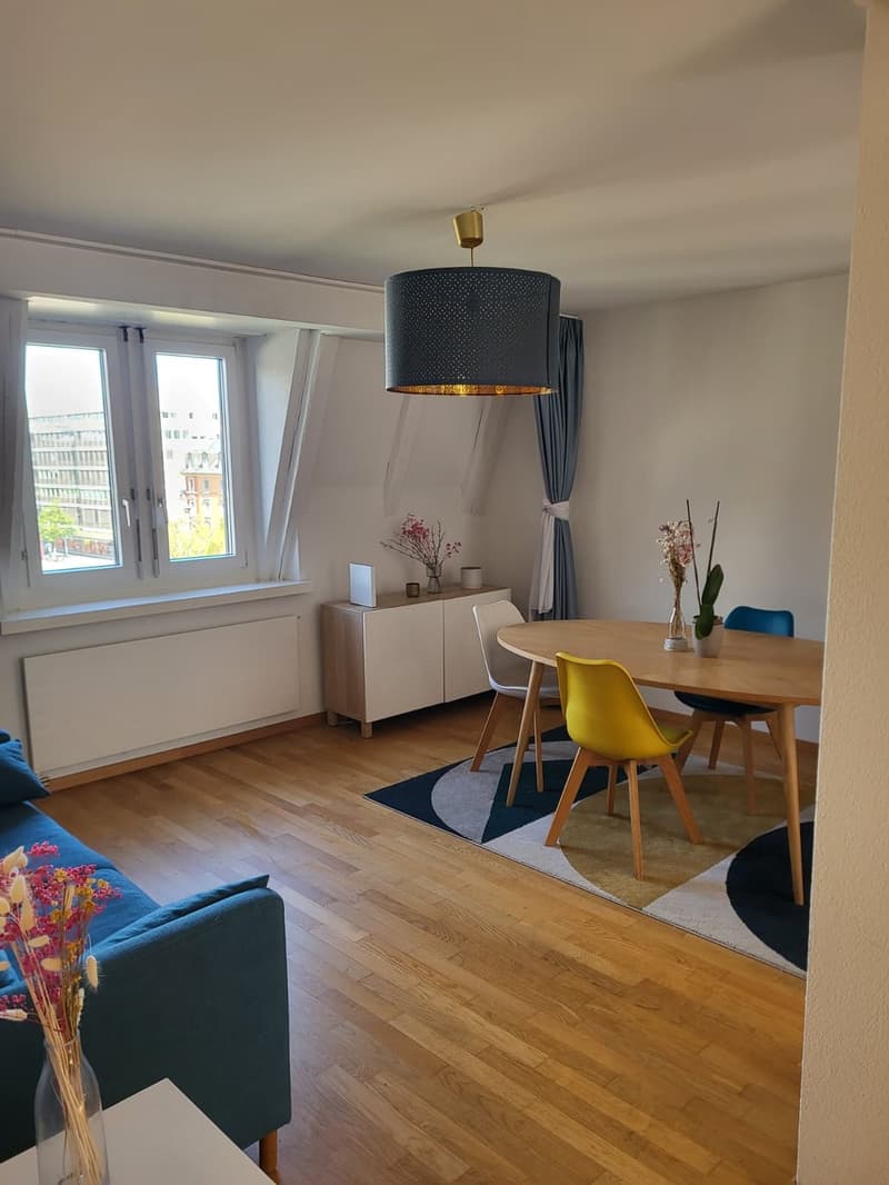 Helle 2 Zimmer Wohnung: Oerlikon Markplatz (3)