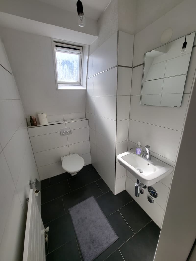 Helle 2 Zimmer Wohnung: Oerlikon Markplatz (12)
