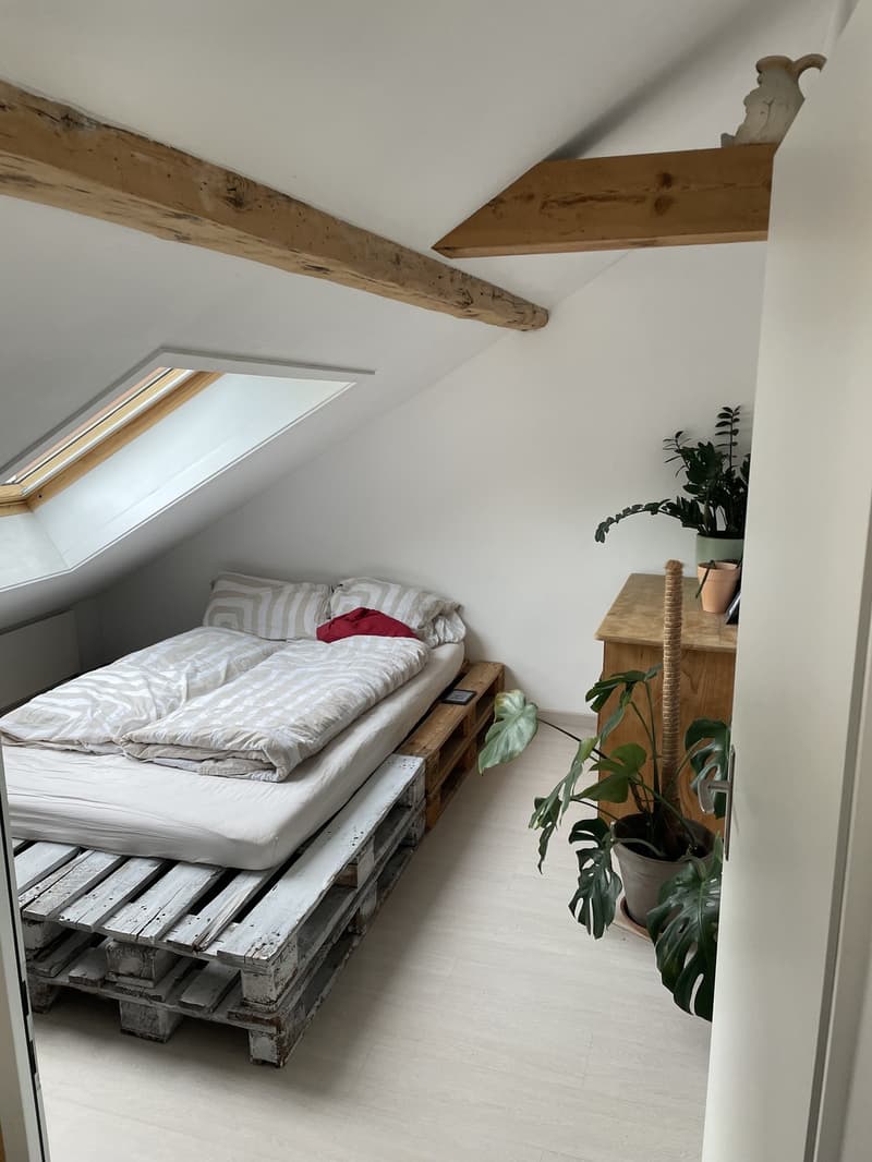 3 Zimmer-Wohnung, 7310 Bad Ragaz (8)