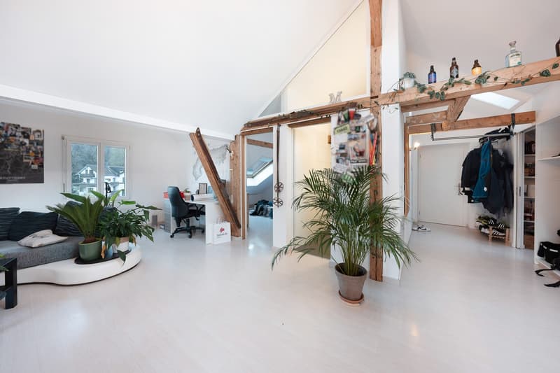 3 Zimmer-Wohnung, 7310 Bad Ragaz (1)