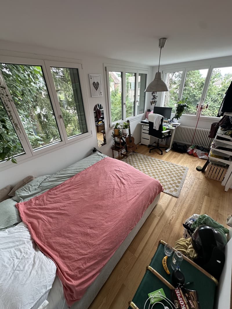 Cozy room in a friendly and sunny apartment! (2)