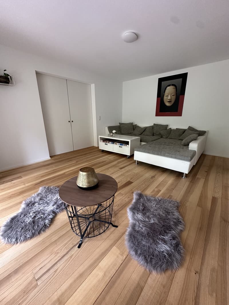 Cozy room in a friendly and sunny apartment! (3)