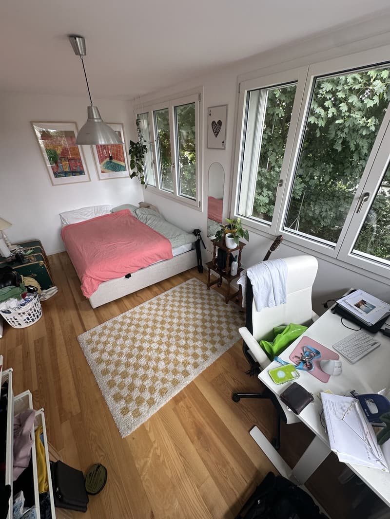 Cozy room in a friendly and sunny apartment! (1)