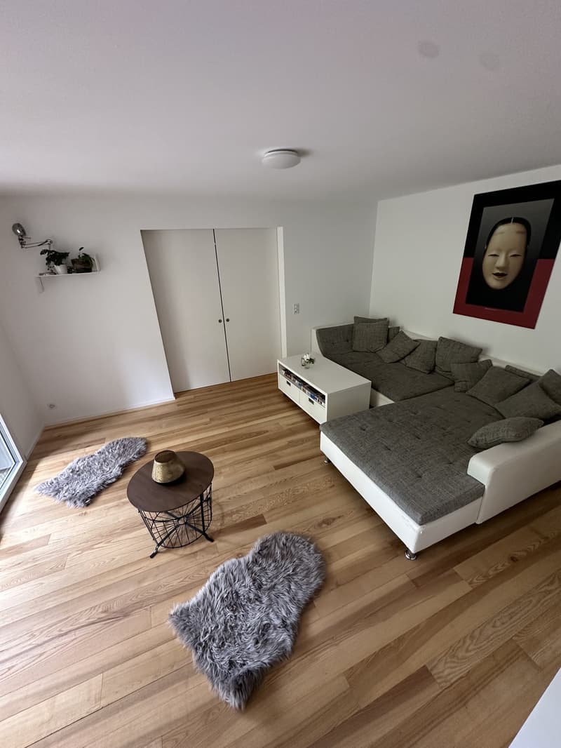 Cozy room in a friendly and sunny apartment! (4)