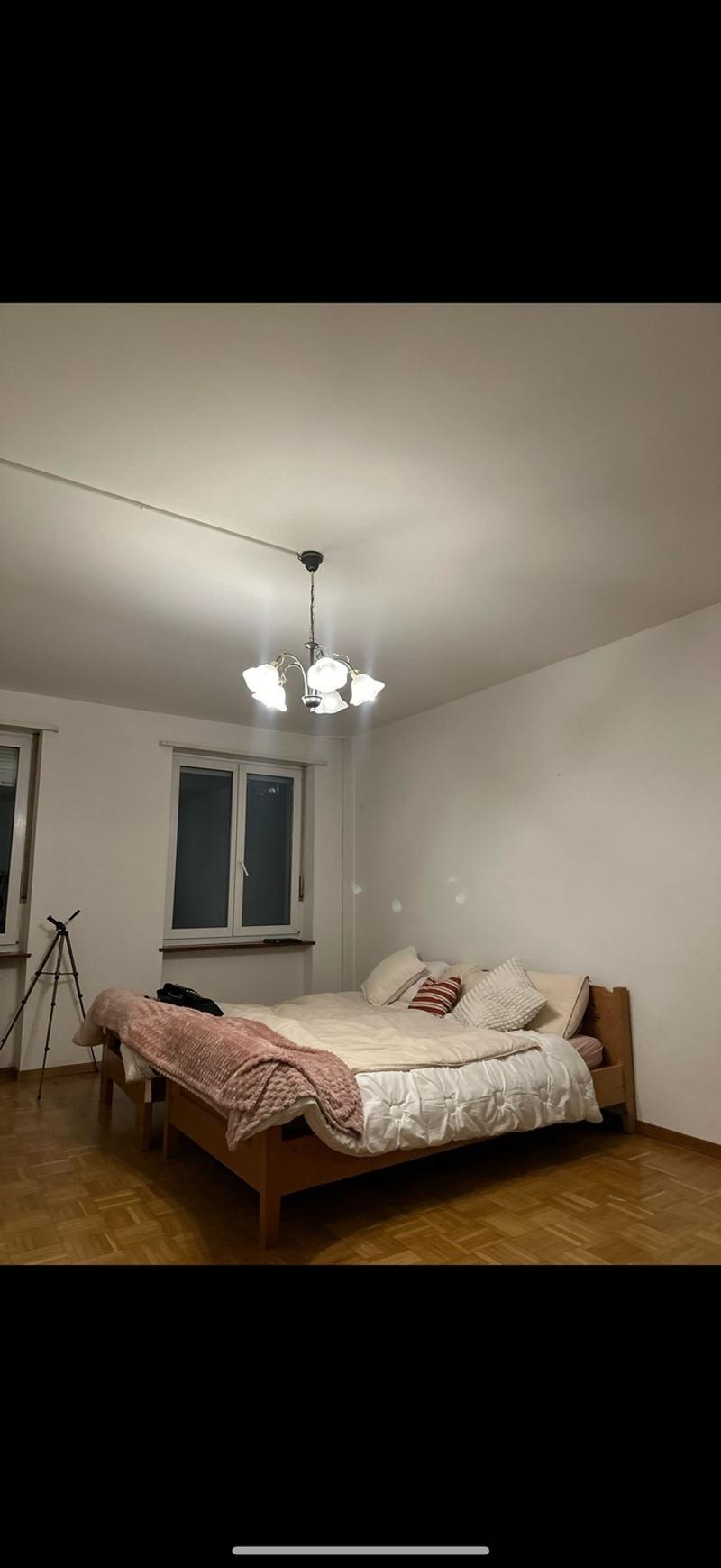 Grosses, helles Zimmer in perfekter Lage in Baden zu vermieten (2)
