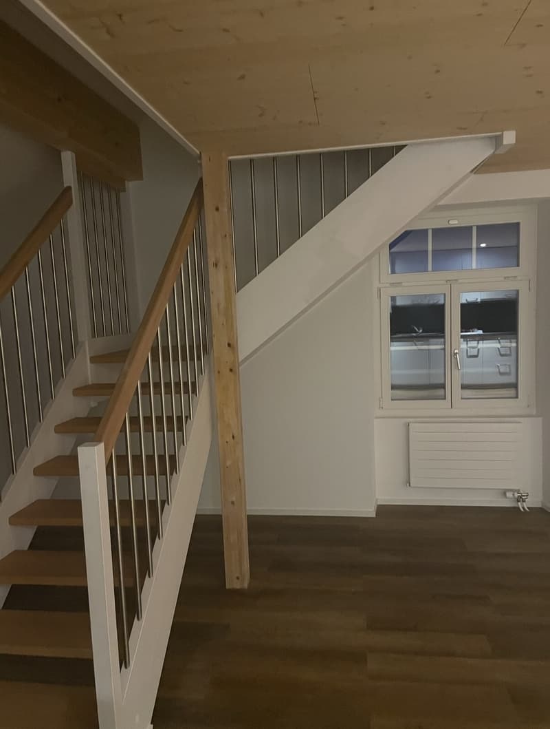 Dachgeschosswohnung (5)