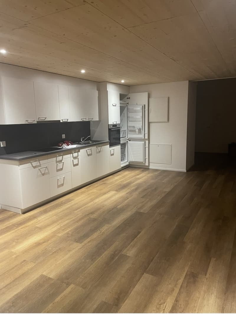 Dachgeschosswohnung (3)