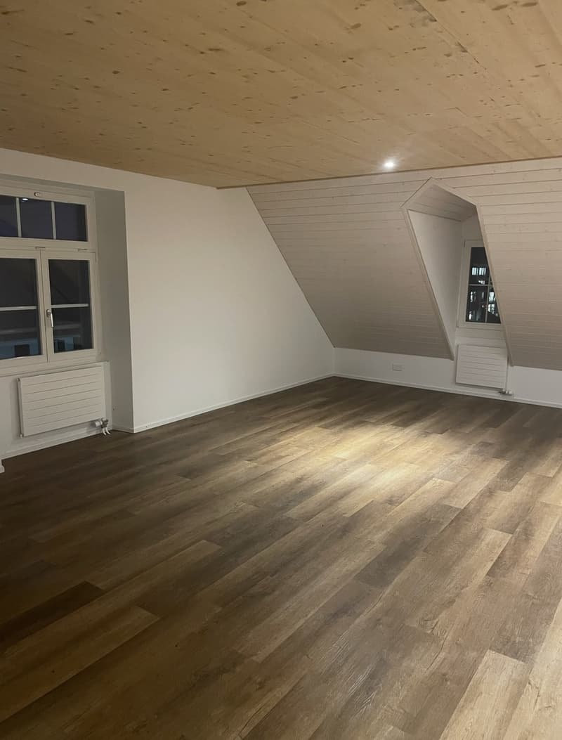 Dachgeschosswohnung (2)