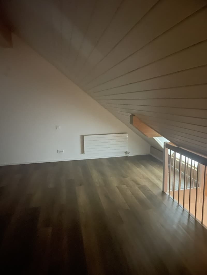 Dachgeschosswohnung (7)