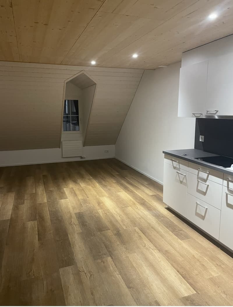 Dachgeschosswohnung (1)