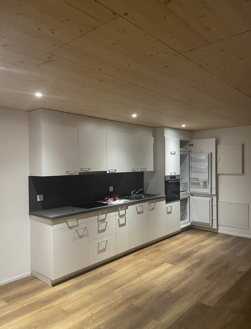 Dachgeschosswohnung (6)