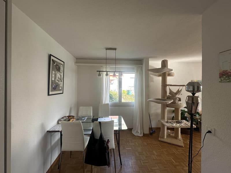 2.5 Zimmer Wohnung Dielsdorf (ab Mitte Oktober/1.November) (3)