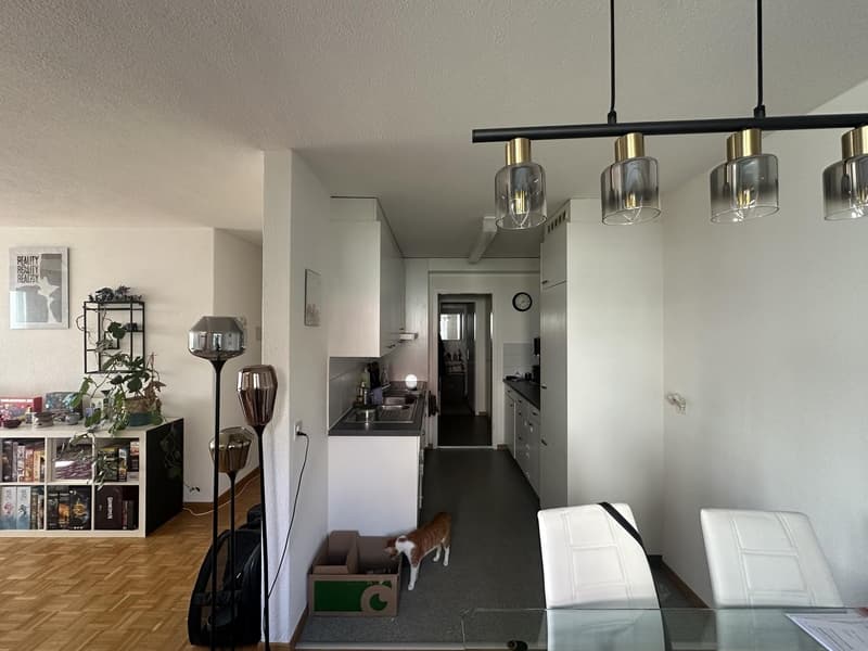 2.5 Zimmer Wohnung Dielsdorf (ab Mitte Oktober/1.November) (5)