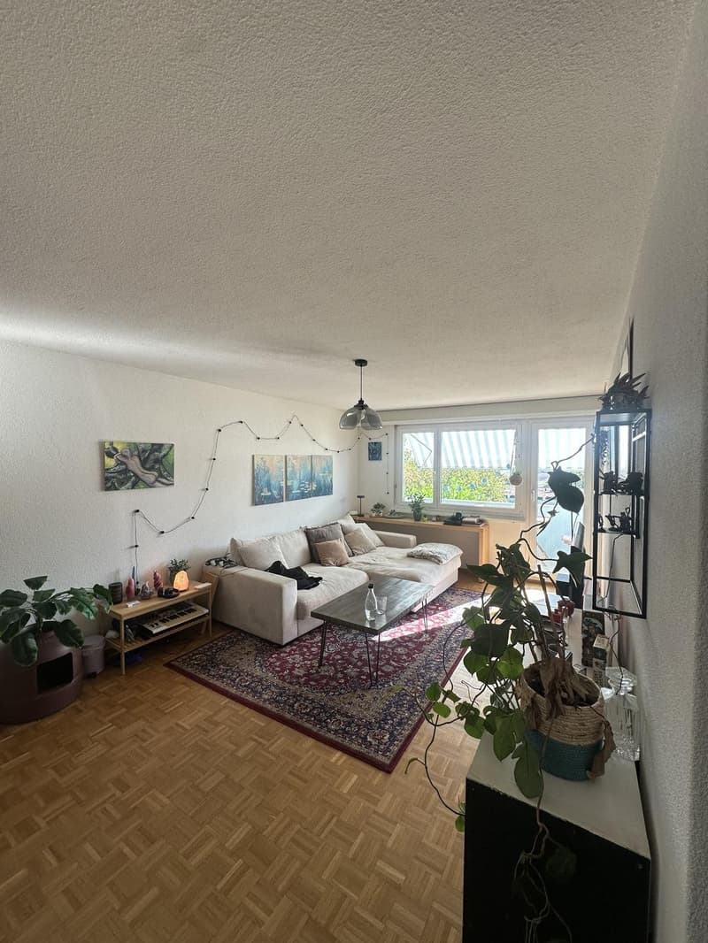 2.5 Zimmer Wohnung Dielsdorf (ab Mitte Oktober/1.November) (7)