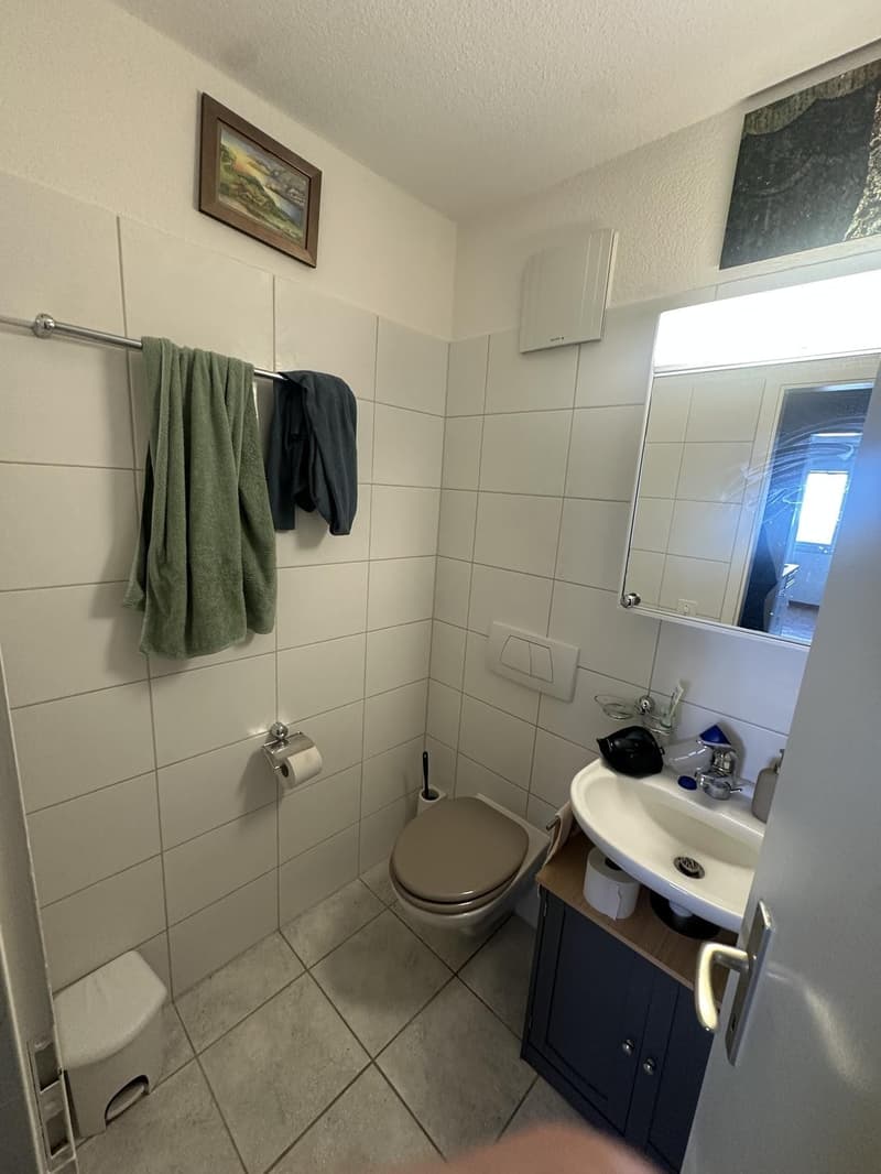 2.5 Zimmer Wohnung Dielsdorf (ab Mitte Oktober/1.November) (6)