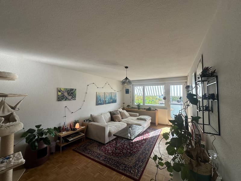 2.5 Zimmer Wohnung Dielsdorf (ab Mitte Oktober/1.November) (1)