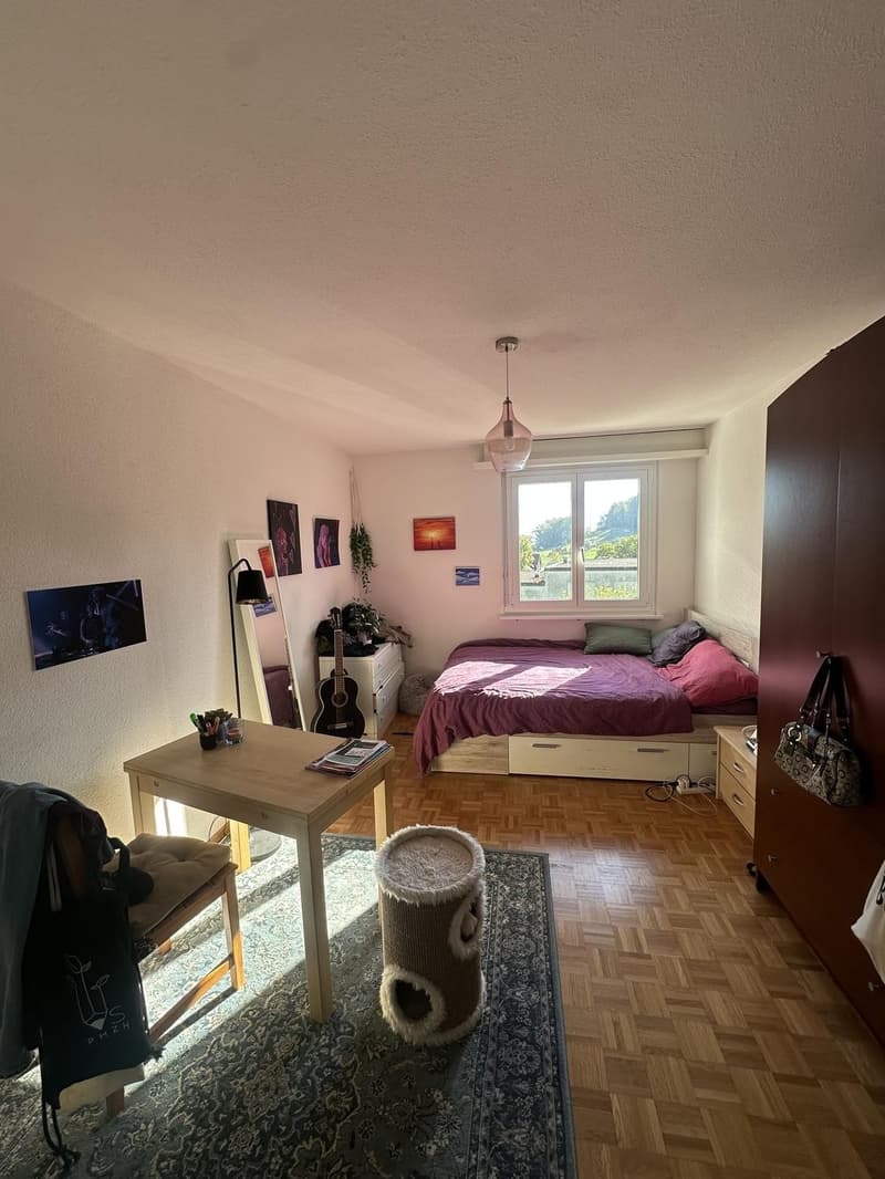 2.5 Zimmer Wohnung Dielsdorf (ab Mitte Oktober/1.November) (4)