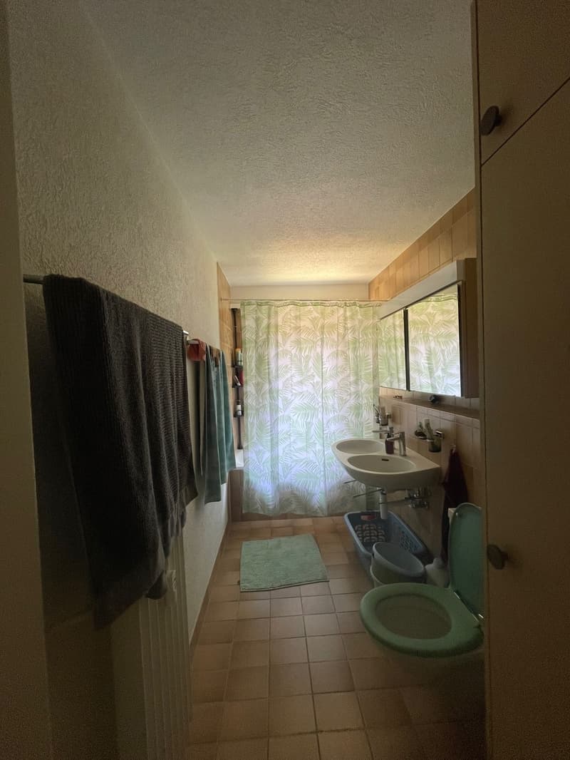 Grosses WG-Zimmer im Weissenbühl (11)