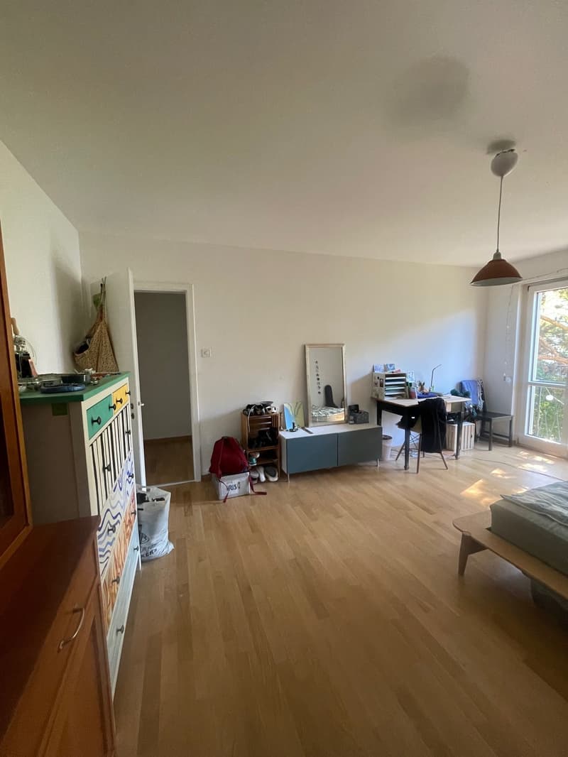 Grosses WG-Zimmer im Weissenbühl (3)