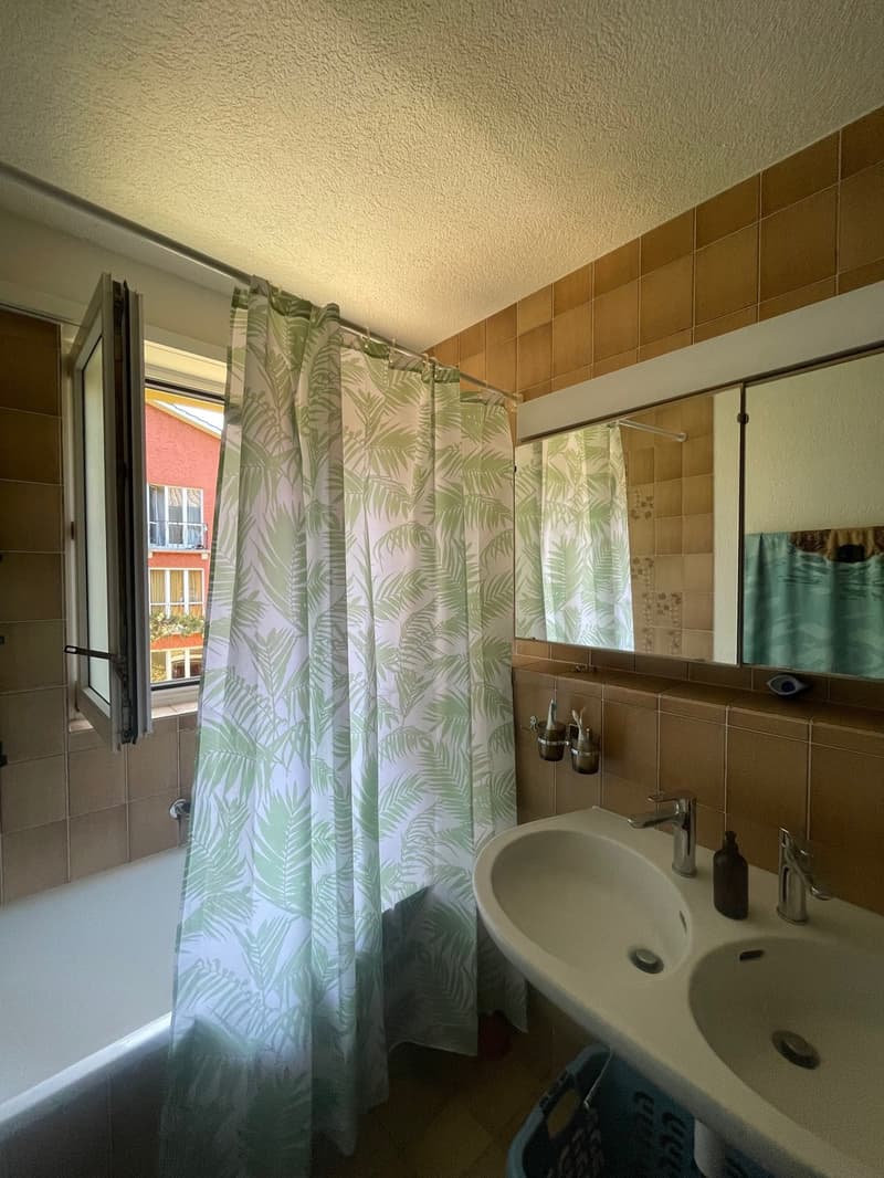Grosses WG-Zimmer im Weissenbühl (12)