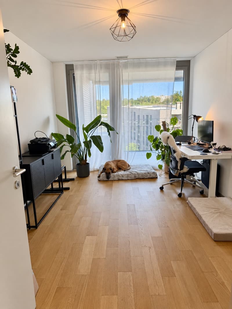 Modern and Spacious 3.5-Room Apartment in Adliswil  Available from 18 November 2026 (preferred takeover date) (3)