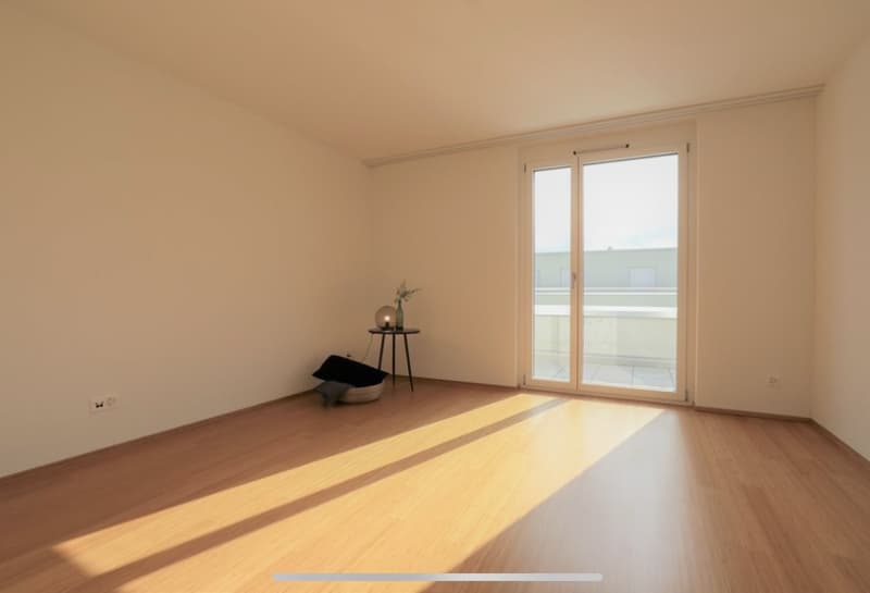 2.5 Zimmer Attikawohnung (4)