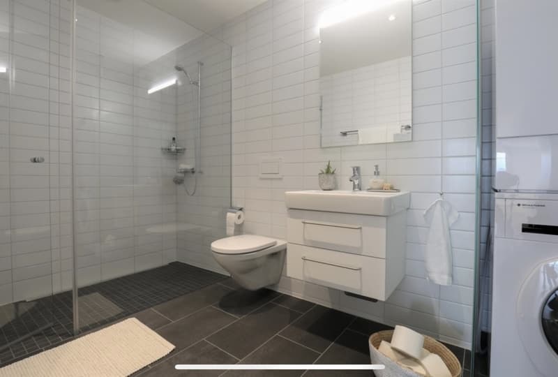 2.5 Zimmer Attikawohnung (5)