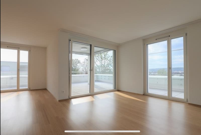 2.5 Zimmer Attikawohnung (1)