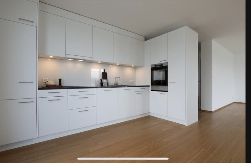 2.5 Zimmer Attikawohnung (3)