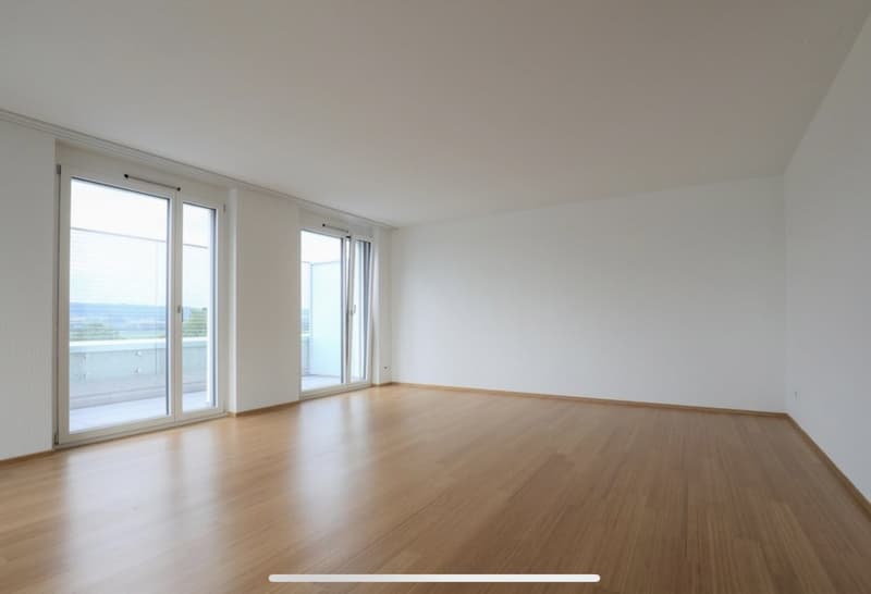 2.5 Zimmer Attikawohnung (2)