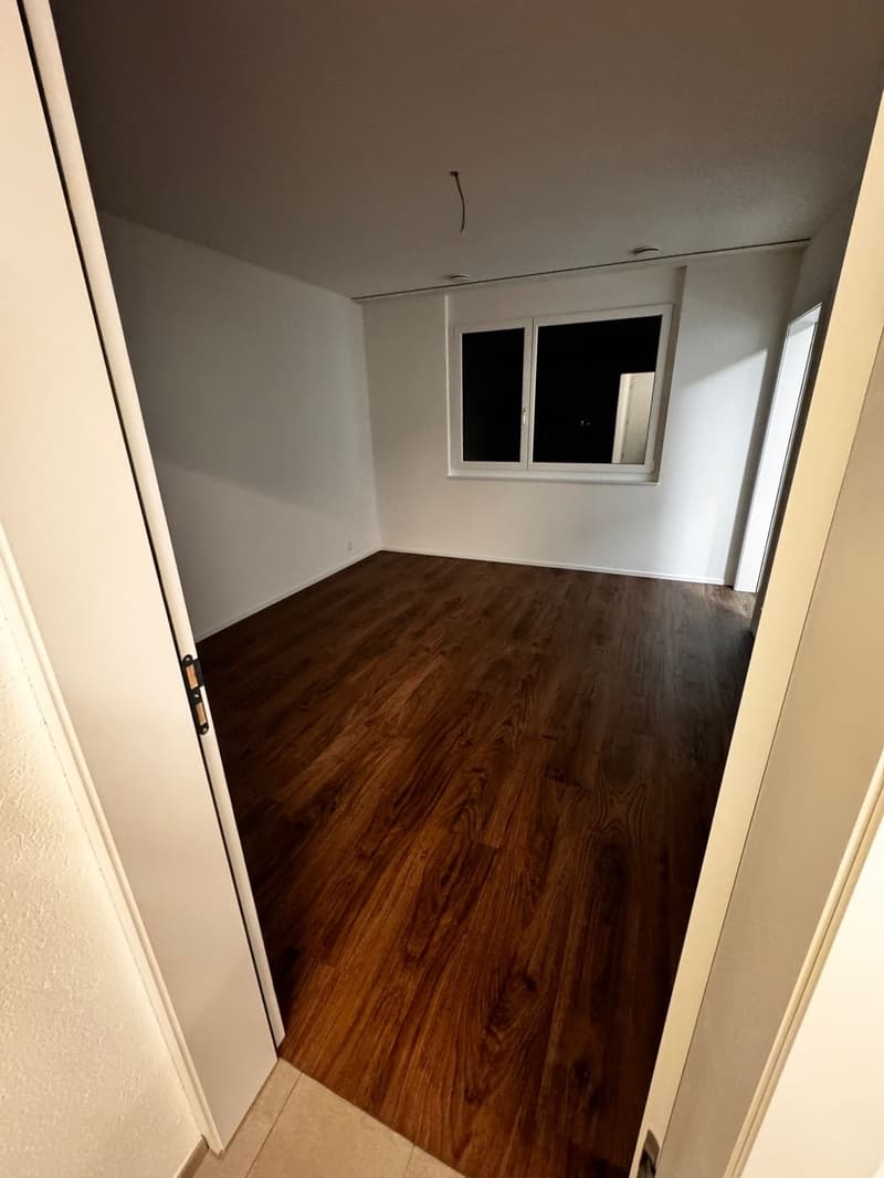 3,5 Zimmer Wohnung (7)