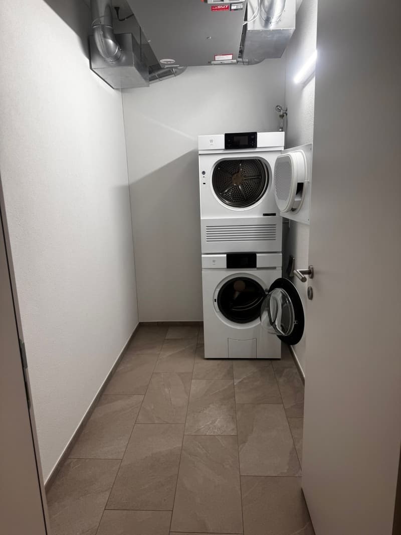 3,5 Zimmer Wohnung (2)