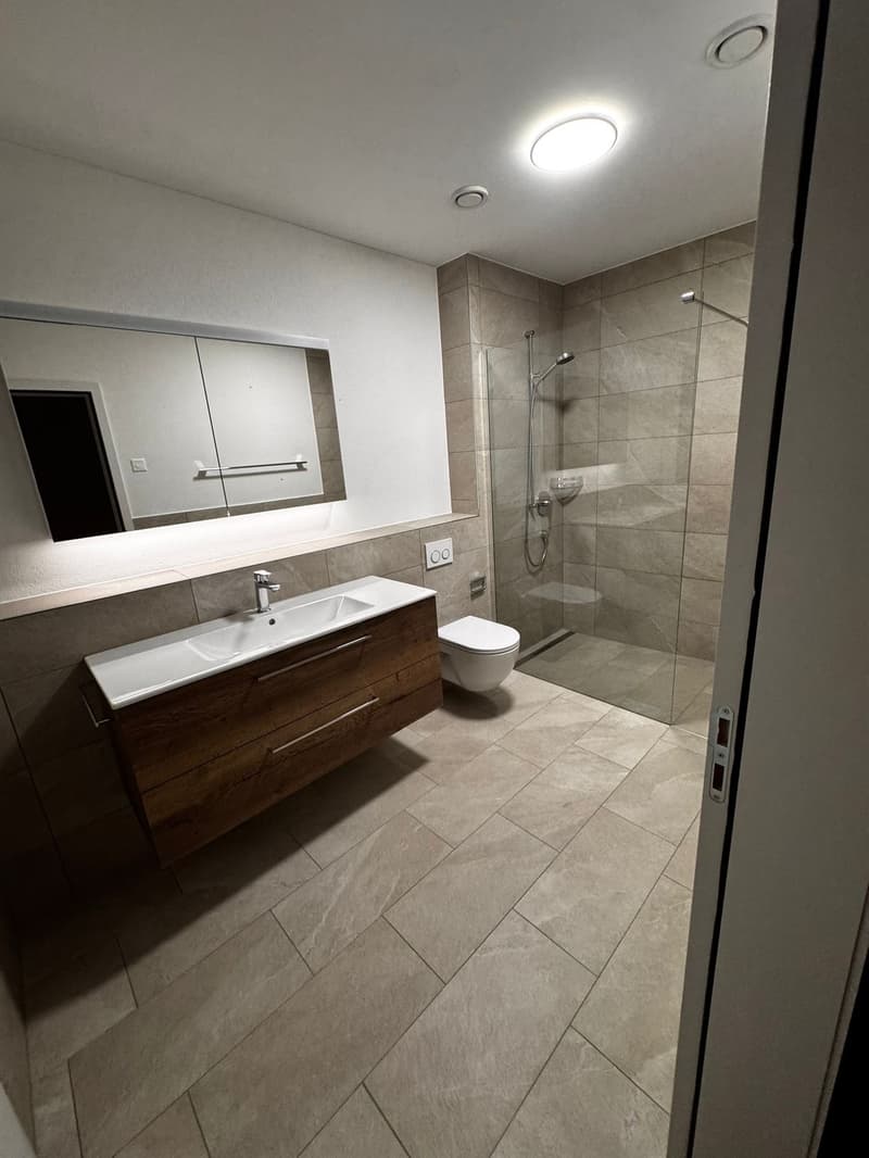 3,5 Zimmer Wohnung (1)