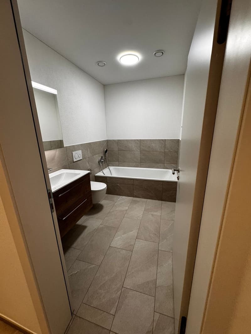 3,5 Zimmer Wohnung (4)