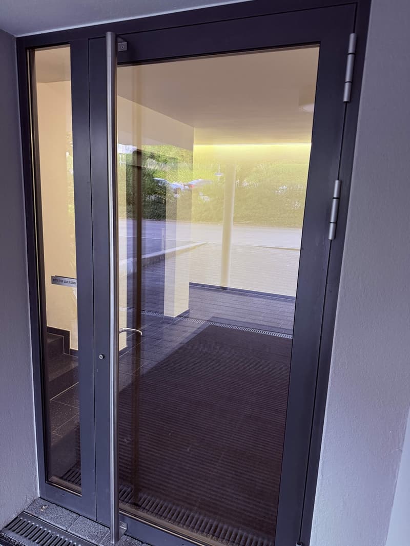 Grosszügige, möblierte 4 ½-Zimmer-Wohnung befristet für 6 Monate (8)