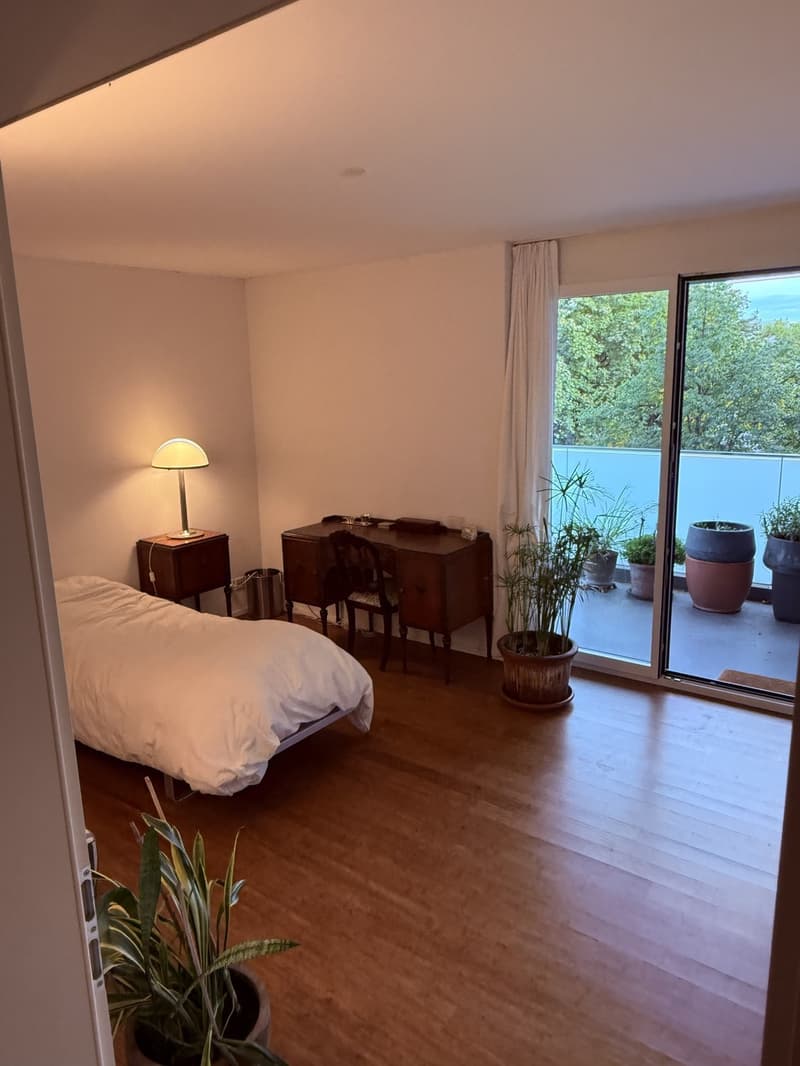 Grosszügige, möblierte 4 ½-Zimmer-Wohnung befristet für 6 Monate (3)