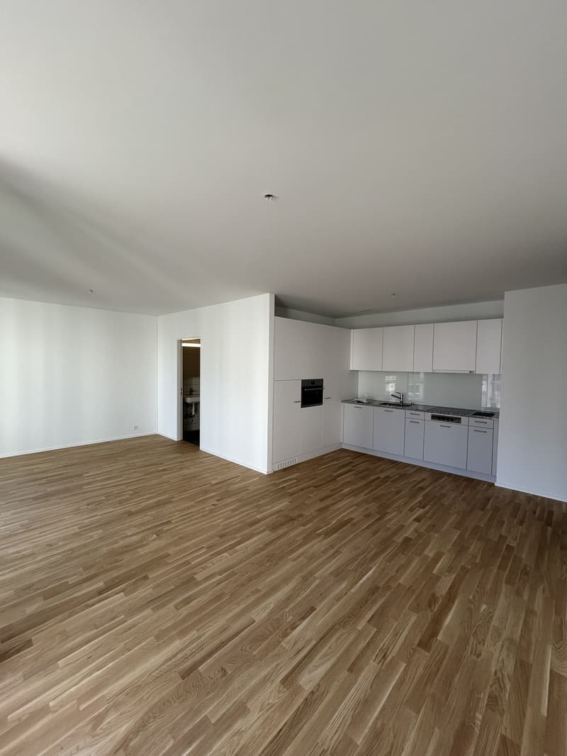 Moderne 2.5-Zimmer-Wohnung in Kriens (6)