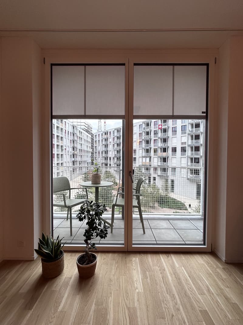 Moderne 2.5-Zimmer-Wohnung in Kriens (3)
