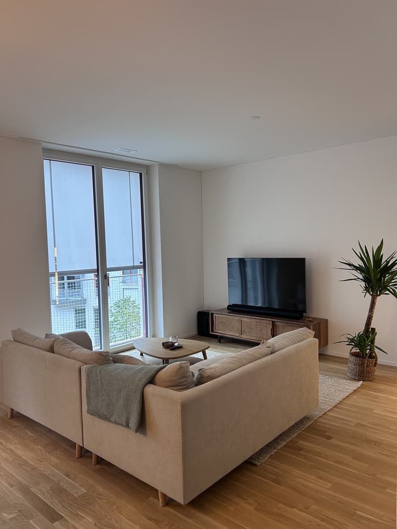 Moderne 2.5-Zimmer-Wohnung in Kriens (1)