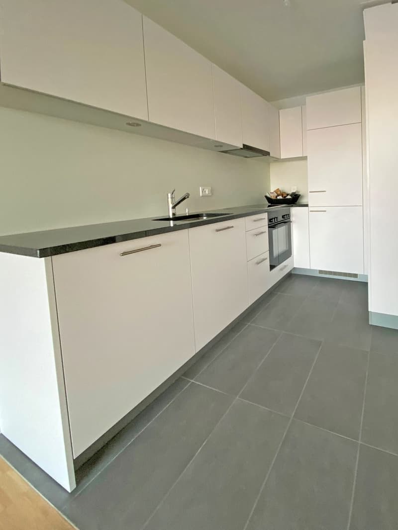 Moderne 2.5-Zimmer Wohnung mit Balkon (3)