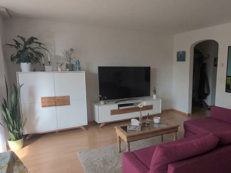 Helles Zimmer in ruhiger 2er-WG in Kriens (befristet Nov. 2026-März 2027) zu vermieten (4)