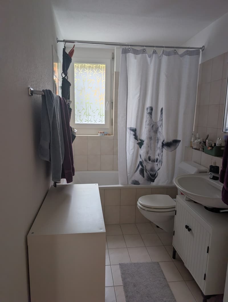 Helles Zimmer in ruhiger 2er-WG in Kriens (befristet Nov. 2026-März 2027) zu vermieten (5)