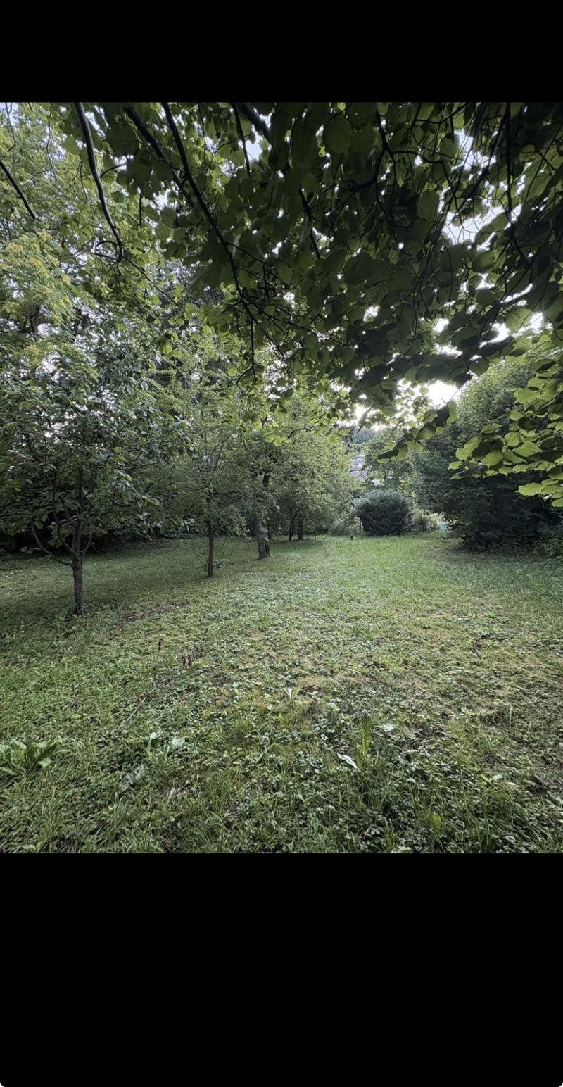 Zimmer in einer WG neue/r Mitbewohner/in gesucht (6)