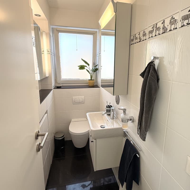 28 m² WG-Zimmer + 8 m² Privatbalkon | Garten & Sauna | Horgen (10)